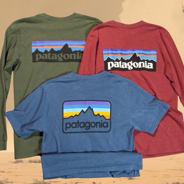 PreLoved Patagonia Mens Tshirts Small Regular Fit Lot of 3